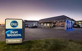 Best Western Red Carpet Inn Hereford Tx 3*